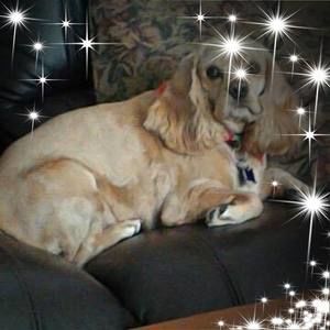 Meet your Posher, Gaylene